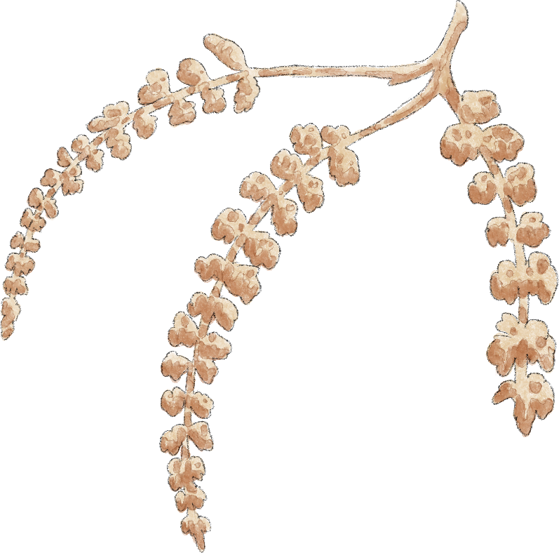 Branch decoration