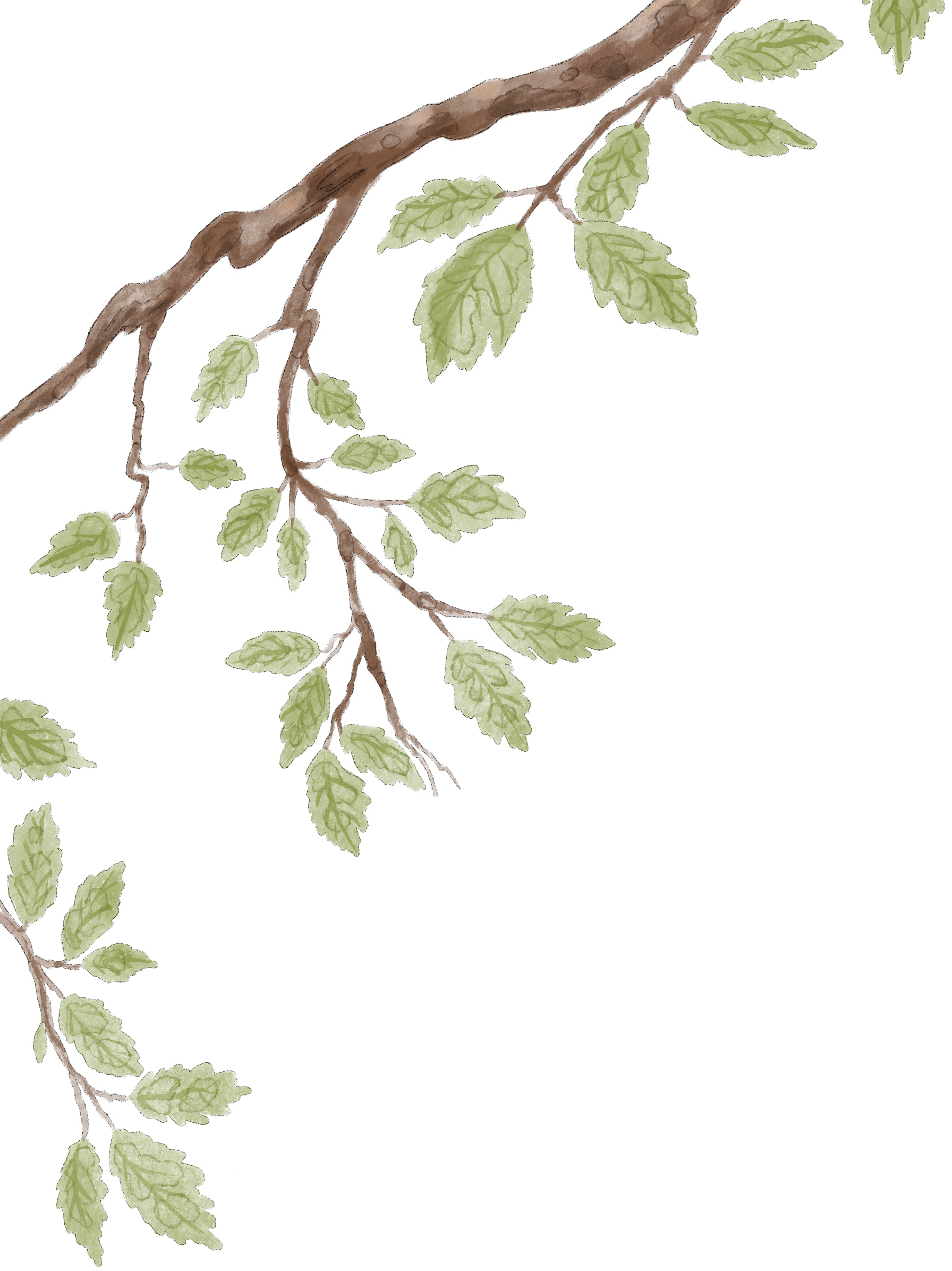 Branch decoration