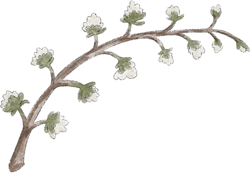 decoration