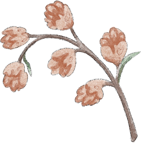 decoration
