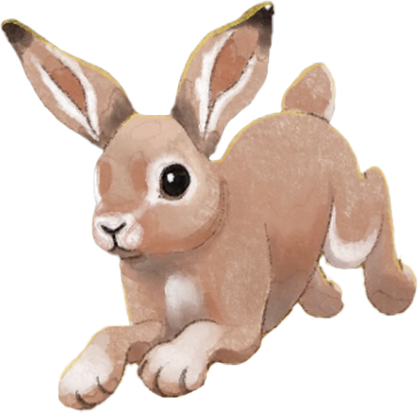 Frö