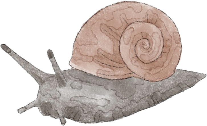 Snigel